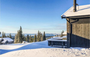 Stunning home in Lillehammer with Sauna, WiFi and 4 Bedrooms